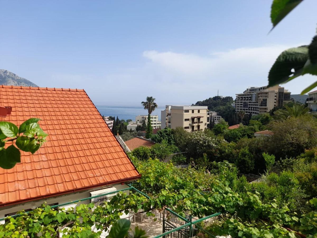 Apartments Marina Bečići Kültér fotó
