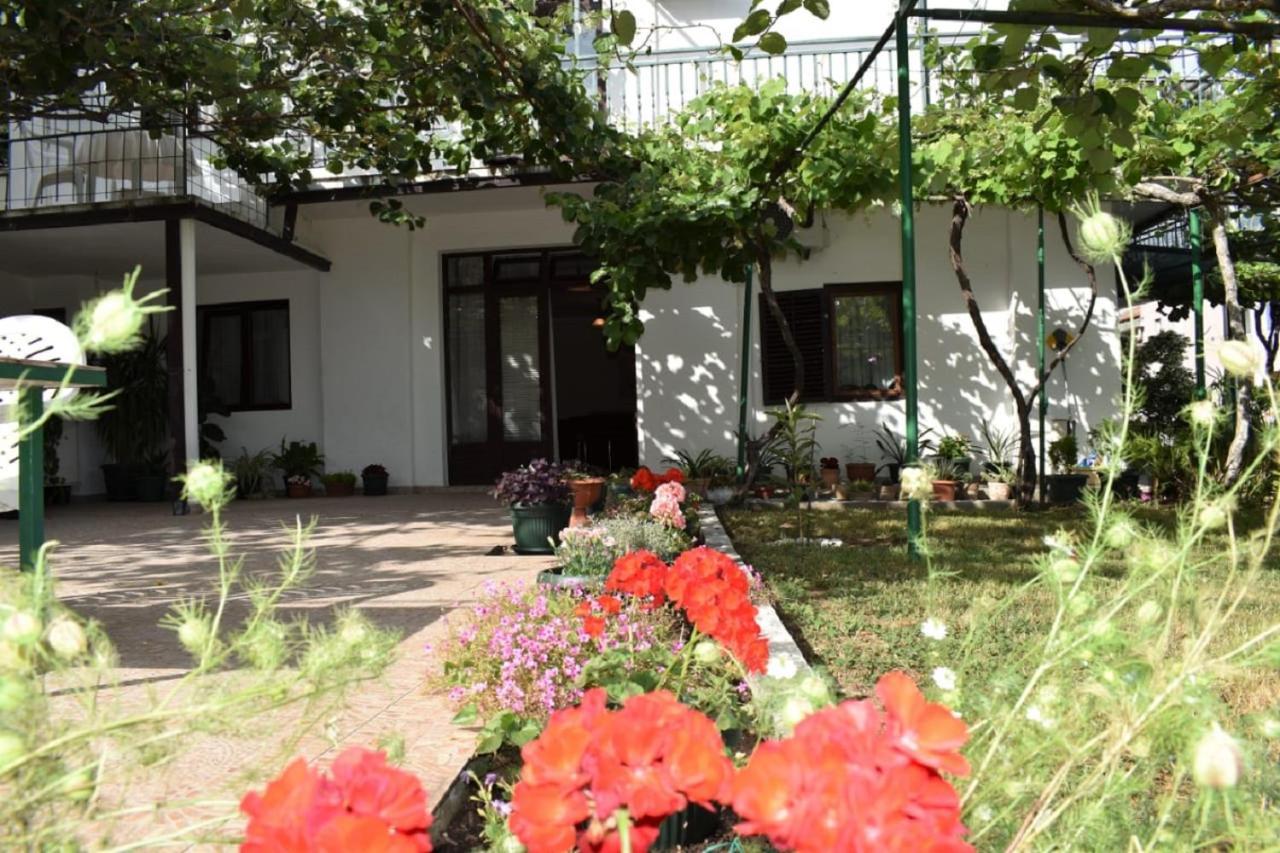 Apartments Marina Bečići Kültér fotó